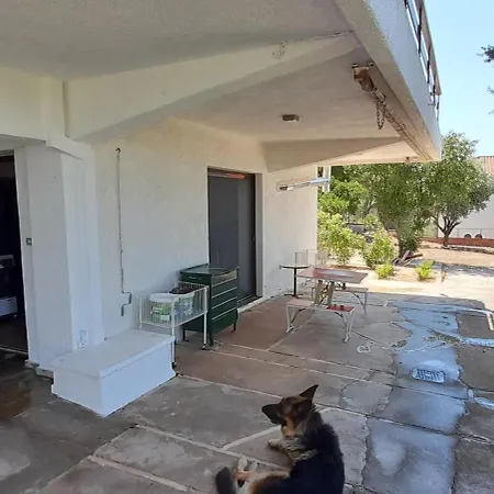 αρχονταρικι, παλαιά πεντέλη Apartment *
